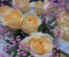 什么花的花语是遇见幸福