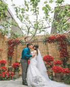 婚礼上玩别人新娘小说