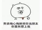 我拿你当朋友你却txt下载