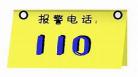 起点vip贵