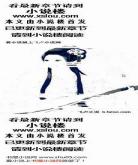 章回小说有哪几刊