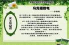 小说女主结婚当天逃婚