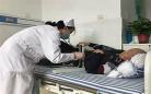 终极小村医下载