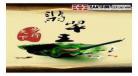 重生军嫂赌石空间