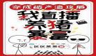 穿书成锦鲤军嫂
