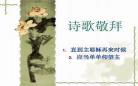 等你仰望免费小说
