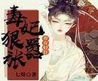 毒女穿越小说