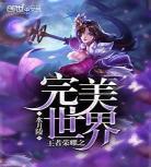 《王者》小说阅读
