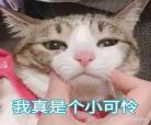 你是长夜也是灯火全文txt百度云