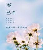 花里逢君别txt百度云