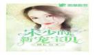 粉言情2014年附赠小说