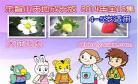 巧虎全集下载百度云盘