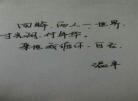 从温的小说