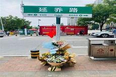路尽繁花全文在线阅读