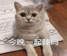 你不许凶我重生