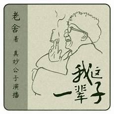 老舍我这一辈子txt免费下载