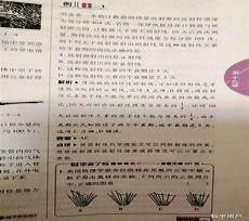 历史类app排名